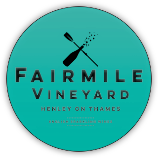 Fairmile Vineyard — Home